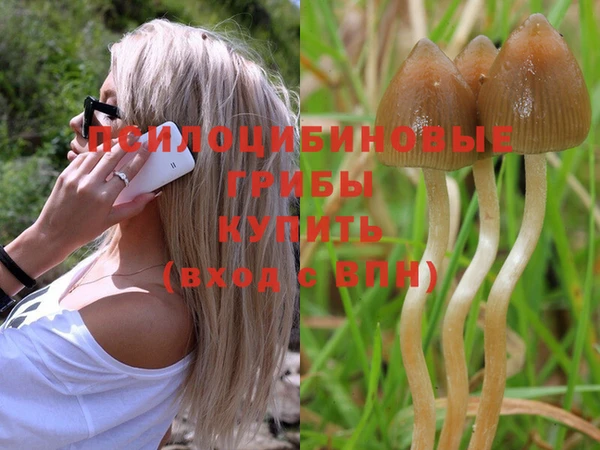 марки nbome Абаза
